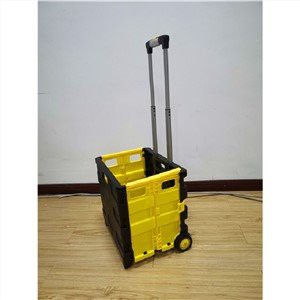 سبد خرید مواد غذایی برای بزرگسالان